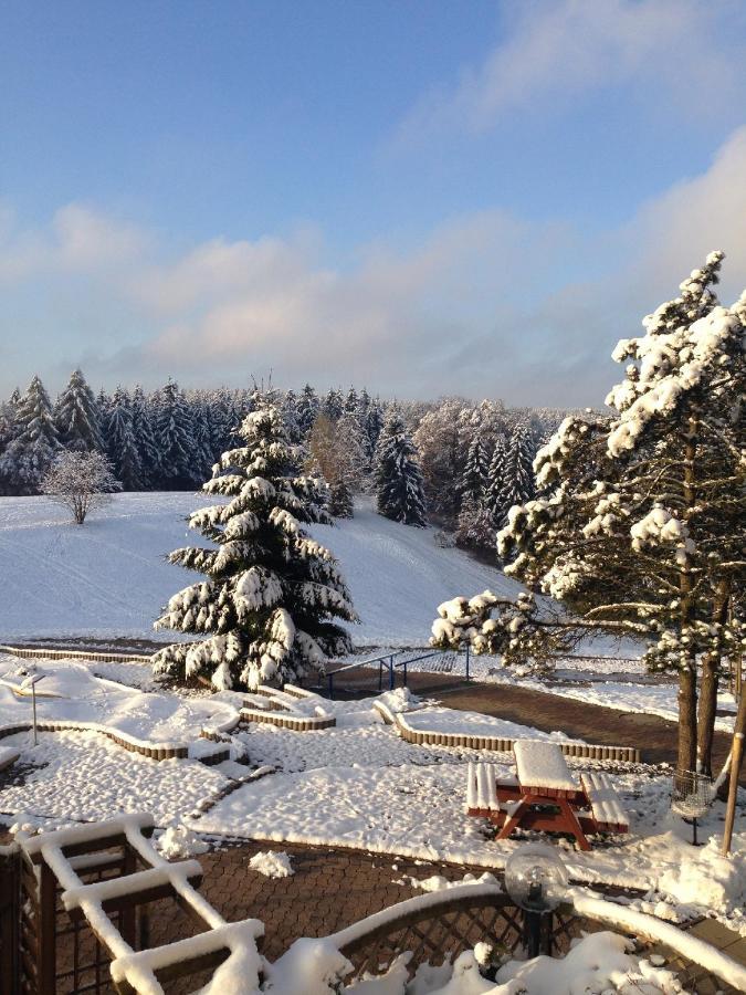 Ferienwohnung "Rodelnde Geiss" Mit Schwimmbad Braunlage Exteriér fotografie