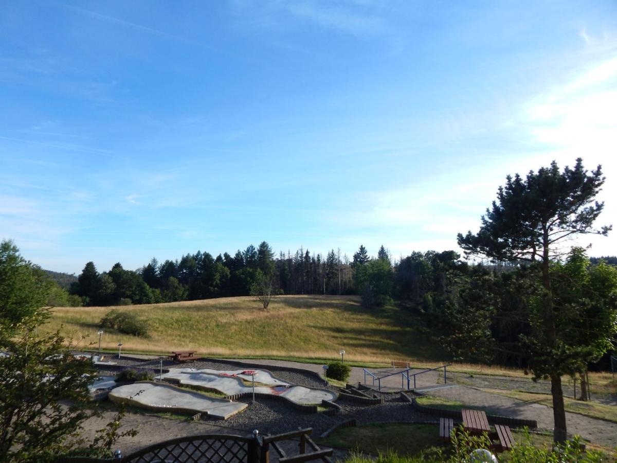 Ferienwohnung "Rodelnde Geiss" Mit Schwimmbad Braunlage Exteriér fotografie